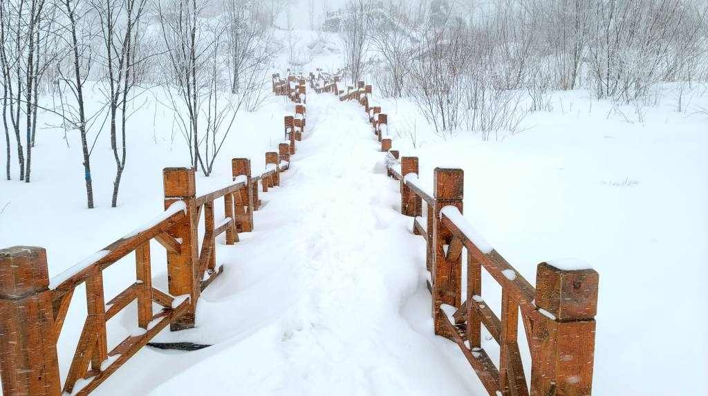 大雪真味