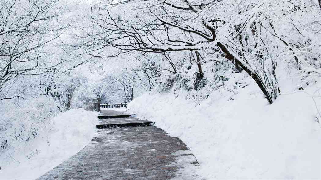 大雪