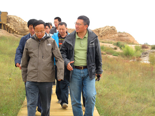 国家文物局副局长顾玉才在榆林调研