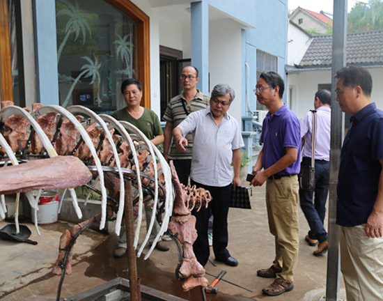 图片版权归原作者所有