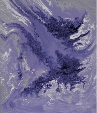 蒋大圣 少女心 50cm×60cm 蒋大圣 少女心 50cm×60cm