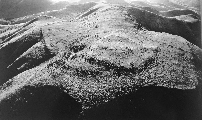 图片版权归原作者所有