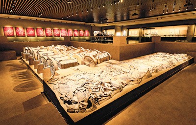 感受三晋风韵 品读锦绣龙城（你所不知道的一级馆）