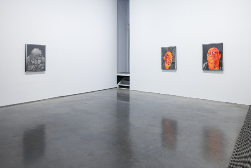 方力钧：“失真”与“审真”