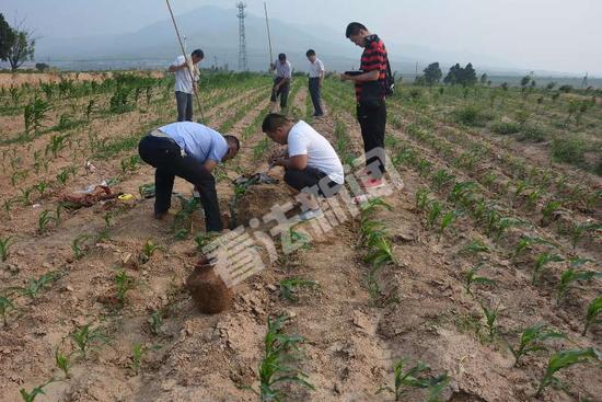 图片版权归原作者所有