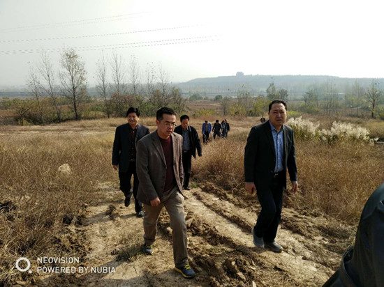 图片版权归原作者所有