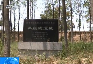 图片版权归原作者所有