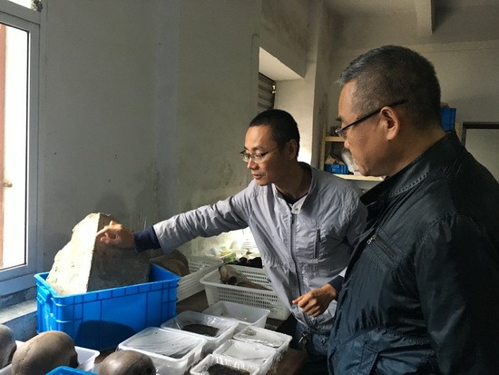 图片版权归原作者所有