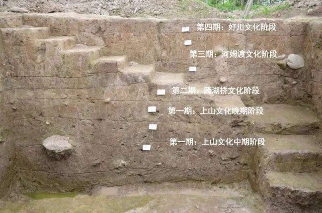 年度十大考古新发现仙居下汤遗址：揭开9000多年前南方村落神秘面纱