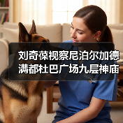刘奇葆视察尼泊尔加德满都杜巴广场九层神庙保护修复项目（图4）