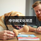 中华网文化频道（图2）