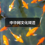 中华网文化频道（图3）