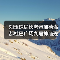 刘玉珠局长考察加德满都杜巴广场九层神庙现场（图1）