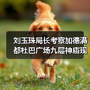 刘玉珠局长考察加德满都杜巴广场九层神庙现场（图2）
