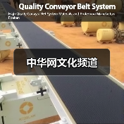 中华网文化频道（图3）