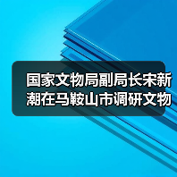 国家文物局副局长宋新潮在马鞍山市调研文物工作（图2）