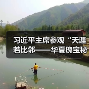 习近平主席参观“天涯若比邻——华夏瑰宝秘鲁行”文物展（图4）