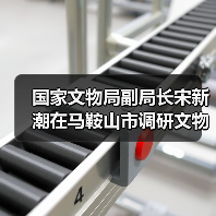 国家文物局副局长宋新潮在马鞍山市调研文物工作（图1）