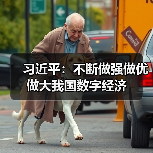 习近平：不断做强做优做大我国数字经济（图4）