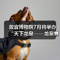 故宫博物院7月将举办“天下龙泉——龙泉青瓷与全球化”特展（图3）