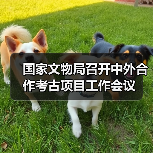 国家文物局召开中外合作考古项目工作会议（图3）