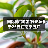 国际博物馆馆长论坛将于25日在南京召开（图2）