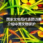 国家文物局代表团访美介绍中国文物保护（图3）