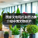 国家文物局代表团访美介绍中国文物保护（图4）