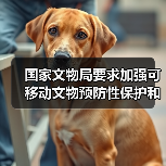 国家文物局要求加强可移动文物预防性保护和数字化保护利用（图3）