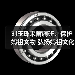 刘玉珠来莆调研:保护妈祖文物 弘扬妈祖文化(图1) 刘玉珠来莆调研:保护妈祖文物 弘扬妈祖文化(图1)