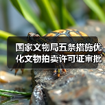 国家文物局五条措施优化文物拍卖许可证审批服务工作（图3）