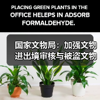 国家文物局：加强文物进出境审核与被盗文物查验（图1）