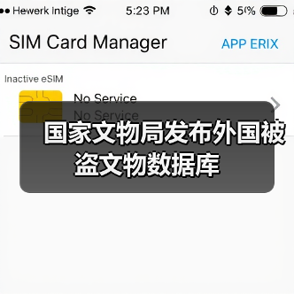 国家文物局发布外国被盗文物数据库（图4）