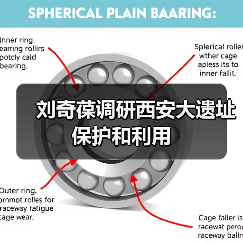 刘奇葆调研西安大遗址保护和利用（图3）