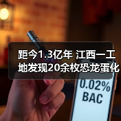 距今1.3亿年 江西一工地发现20余枚恐龙蛋化石(图2) 距今1.3亿年 江西一工地发现20余枚恐龙蛋化石(图2)