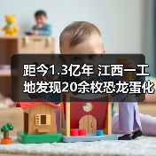 距今1.3亿年 江西一工地发现20余枚恐龙蛋化石(图3) 距今1.3亿年 江西一工地发现20余枚恐龙蛋化石(图3)