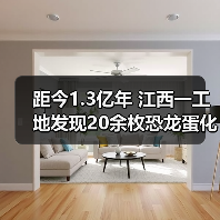 距今1.3亿年 江西一工地发现20余枚恐龙蛋化石(图4) 距今1.3亿年 江西一工地发现20余枚恐龙蛋化石(图4)
