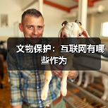 文物保护：互联网有哪些作为（图1）