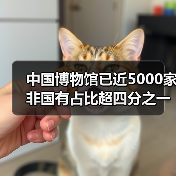 中国博物馆已近5000家 非国有占比超四分之一（图1）