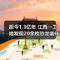 距今1.3亿年 江西一工地发现20余枚恐龙蛋化石