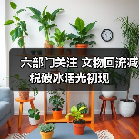 六部门关注 文物回流减税破冰曙光初现（图4）