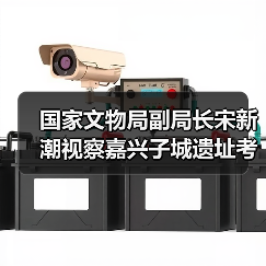 国家文物局副局长宋新潮视察嘉兴子城遗址考古工地（图2）