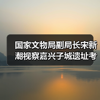 国家文物局副局长宋新潮视察嘉兴子城遗址考古工地（图1）