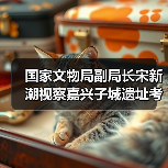国家文物局副局长宋新潮视察嘉兴子城遗址考古工地（图4）