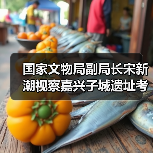 国家文物局副局长宋新潮视察嘉兴子城遗址考古工地（图3）