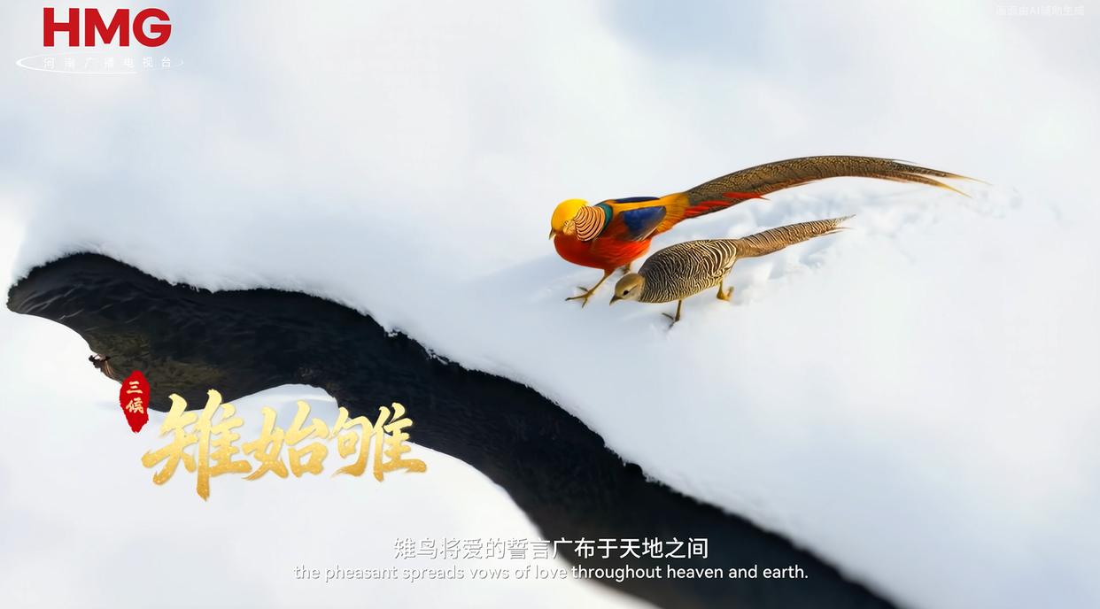 何以中国丨中国节气·小寒