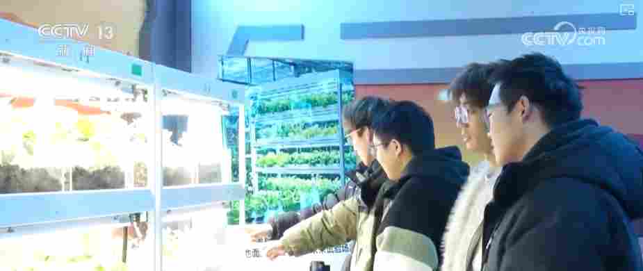 新年伊始“花”样迎新!“旅游+”古今交融新意浓 添彩假日文旅新画卷