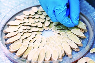 药香伴旅程:一张文旅融合的“中国方” 药香伴旅程:一张文旅融合的“中国方”