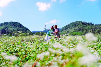 药香伴旅程:一张文旅融合的“中国方” 药香伴旅程:一张文旅融合的“中国方”