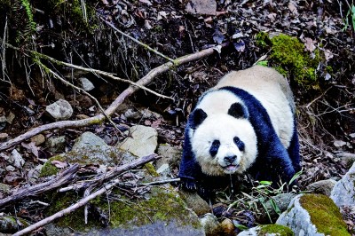 与自然之美相逢——走近记录自然的青年摄影师